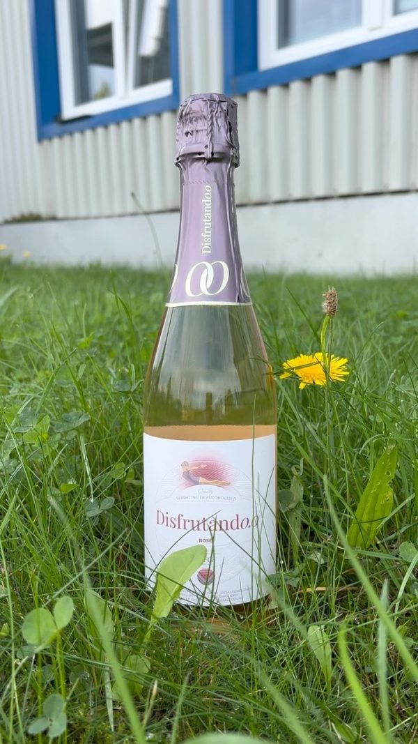 🍷 Víno bez alkoholu? Disfrutando 0.0! 🇪🇸 Dopřejte si chuť a atmosféru španělského vína, tentokrát bez alkoholu. Řada Di…