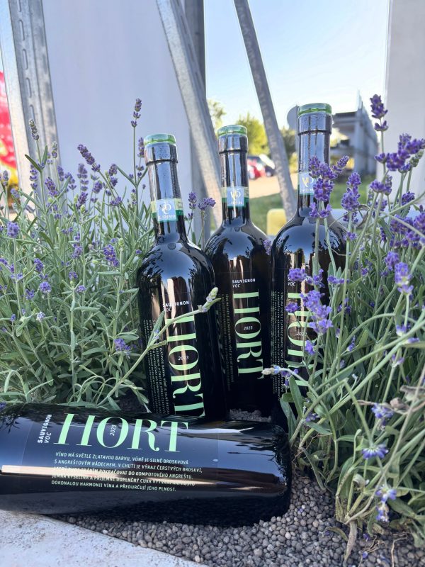 ✨ Elegance ukrytá v každé kapce. Sauvignon VOC Znojmo 2023 od vinařství Jiřího Horta (VINO HORT) okouzlí sametovou vůní…