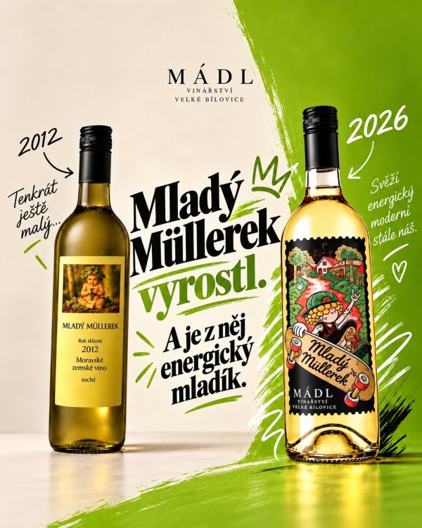 🍇 MLADÝ MÜLLEREK VYROSTL! 🍷💚 Z malého Müllerka vyrostl pořádný mladík! 💪 A i když se za ty roky změnil, jedno zůstává –…